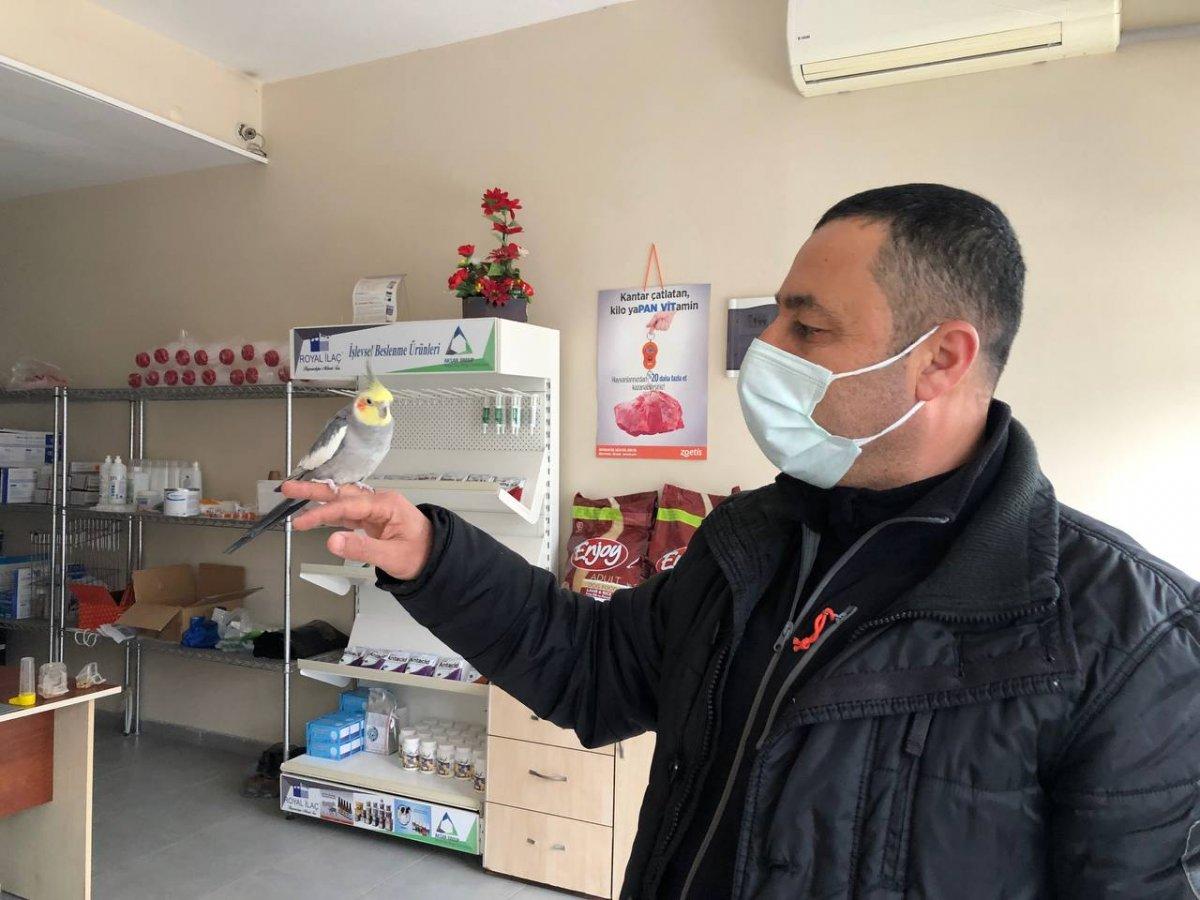 Sakarya'da papağan ıslık çalarak 'Türkiyem' şarkısını söylüyor
