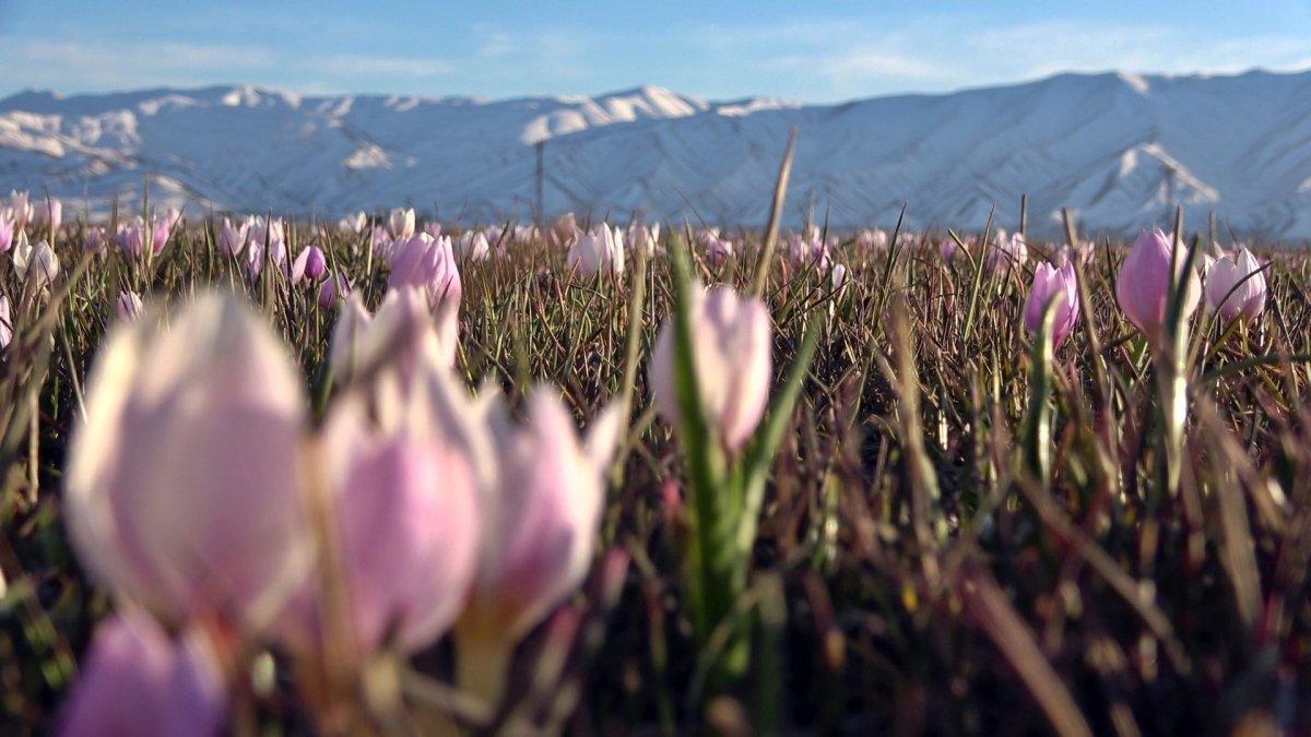 Yüksekova'da iki mevsim bir arada