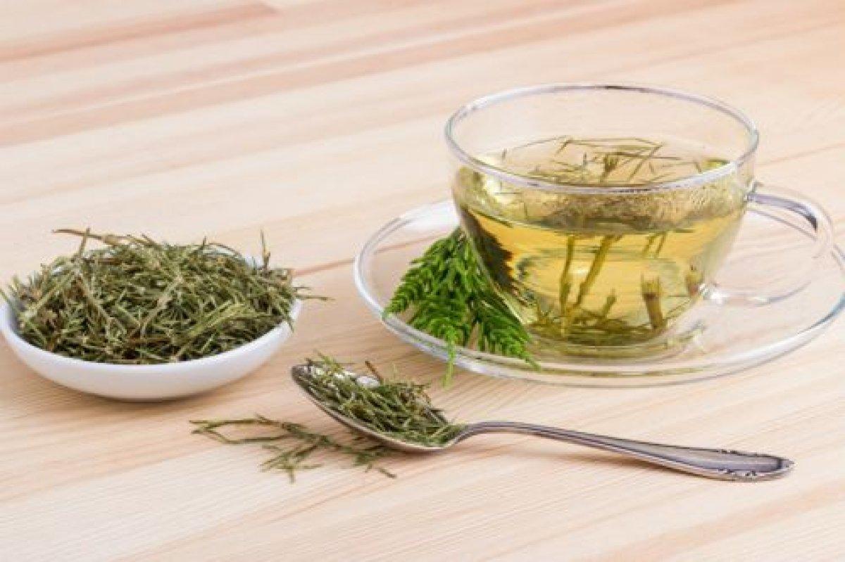 Kırkkilit otu nedir, faydaları nelerdir? Kırkkilit otu (At kuyruğu) nasıl kullanılır?