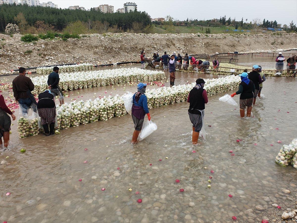 Osmaniye gizemli hayırsever