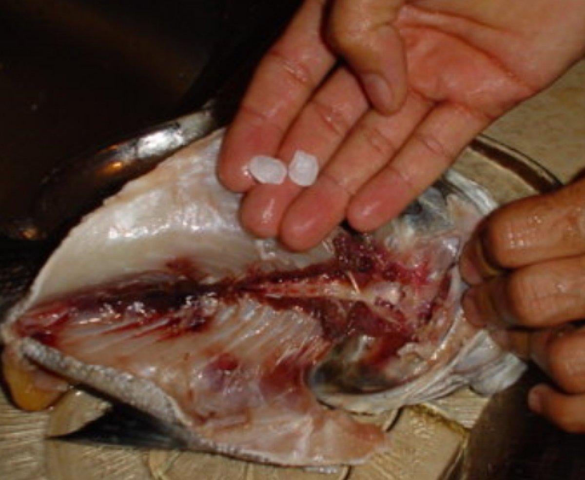 Balık kafasındaki mucize: Eşkina balık taşı nedir?