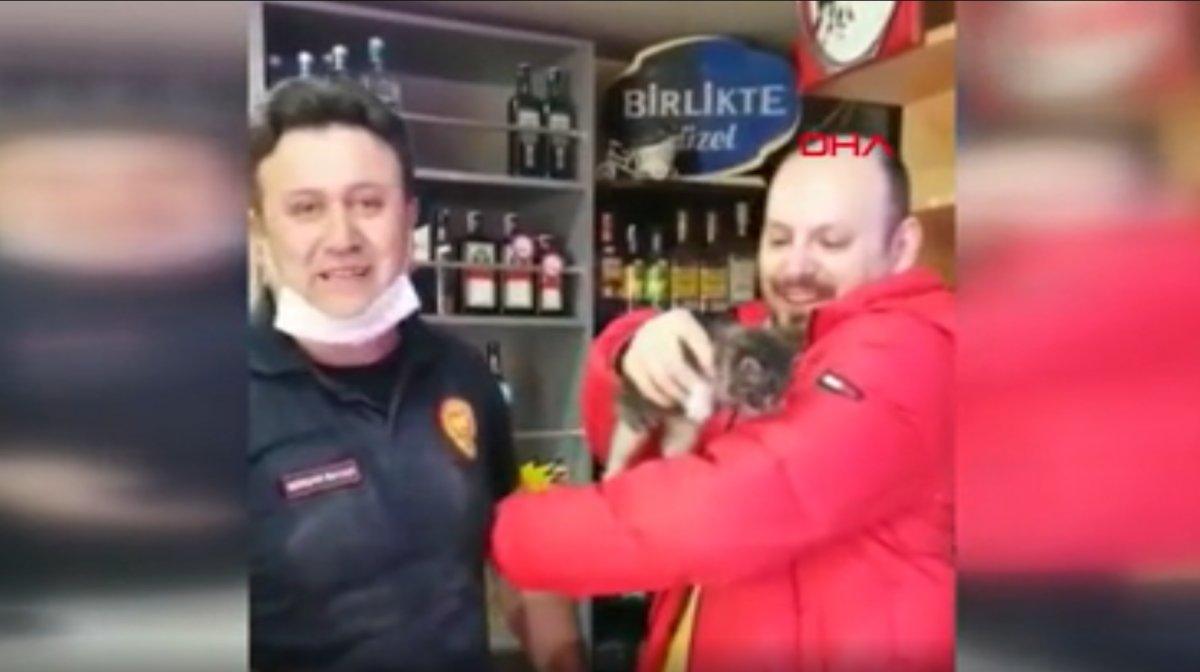 İzmit’te bina boşluğuna düşen kediyi duvarı delerek kurtardılar