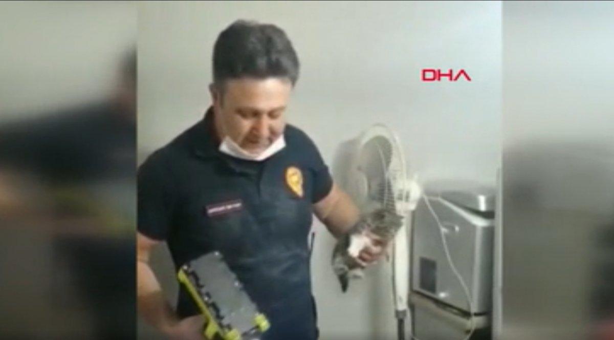 İzmit’te bina boşluğuna düşen kediyi duvarı delerek kurtardılar