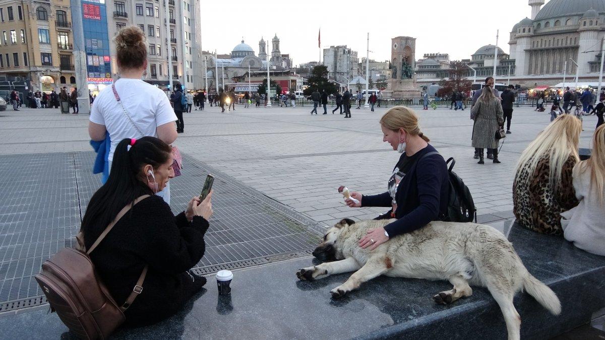 Taksim'de köpeğin turistlerle dondurma keyfi