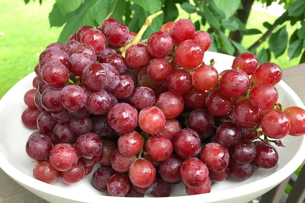 Cildinizi temizleyecek yaşlanma karşıtı 7 besin