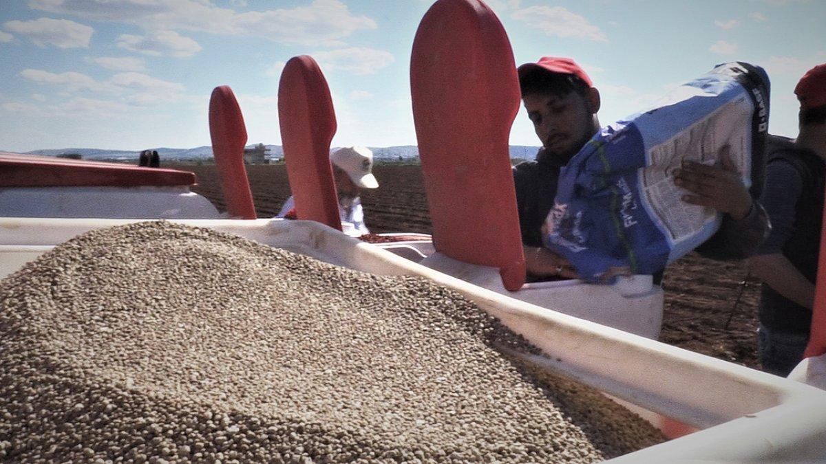 Şanlıurfa'da pamuk ekimi başladı