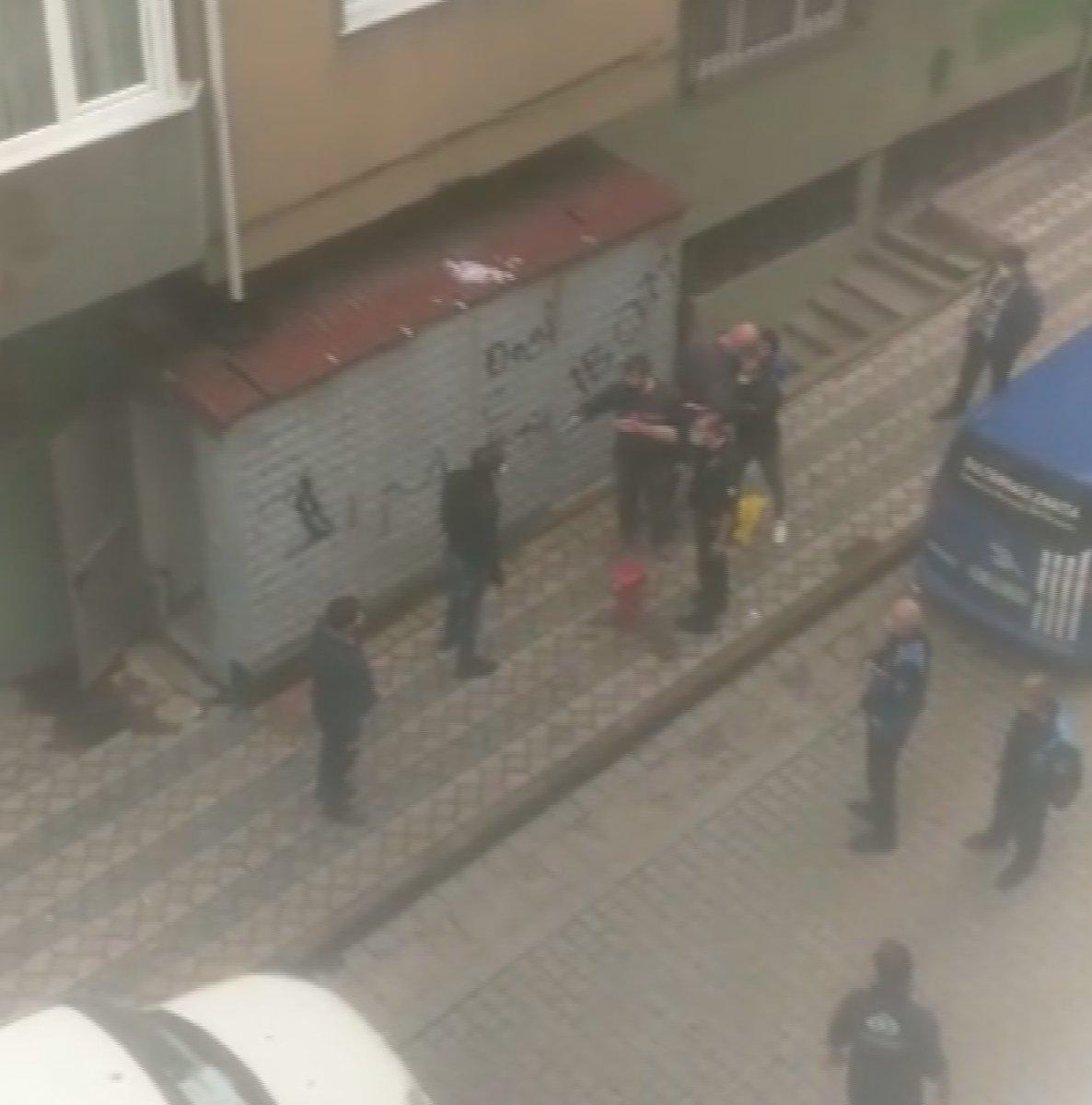 Sultangazi'de iş yerindeki pitbullar mahalleliyi ayağa kaldırdı