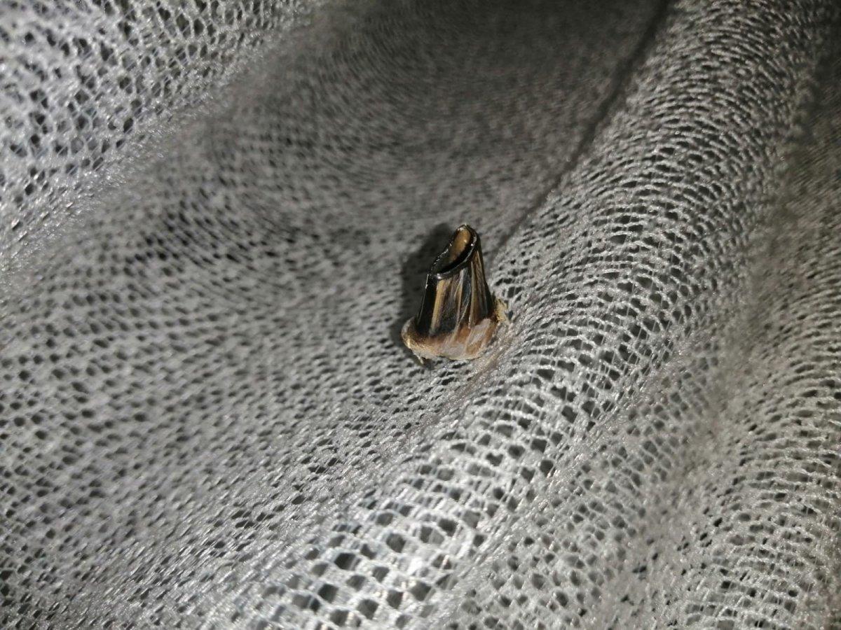 Kağıthane'de açılan rastgele ateş, bir evi talan etti