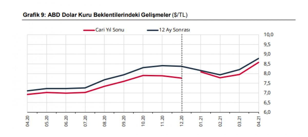 Döviz beklentisi