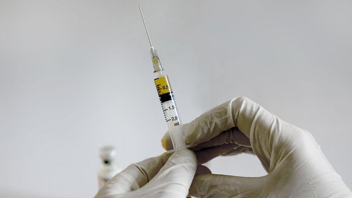 Yerli aşı ne zaman uygulanacak? Yerli aşı çalışmalarında son durum nedir? Yerli aşı hakkında bilgiler..