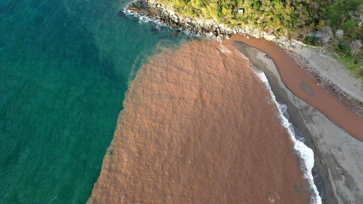 Zonguldak'ta denizin rengi çamura döndü
