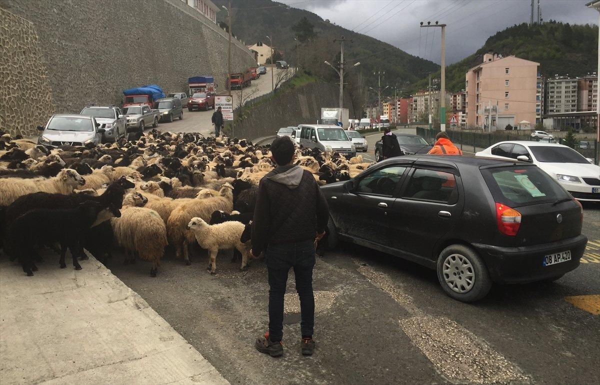 Artvin'de yayla göçleri başladı