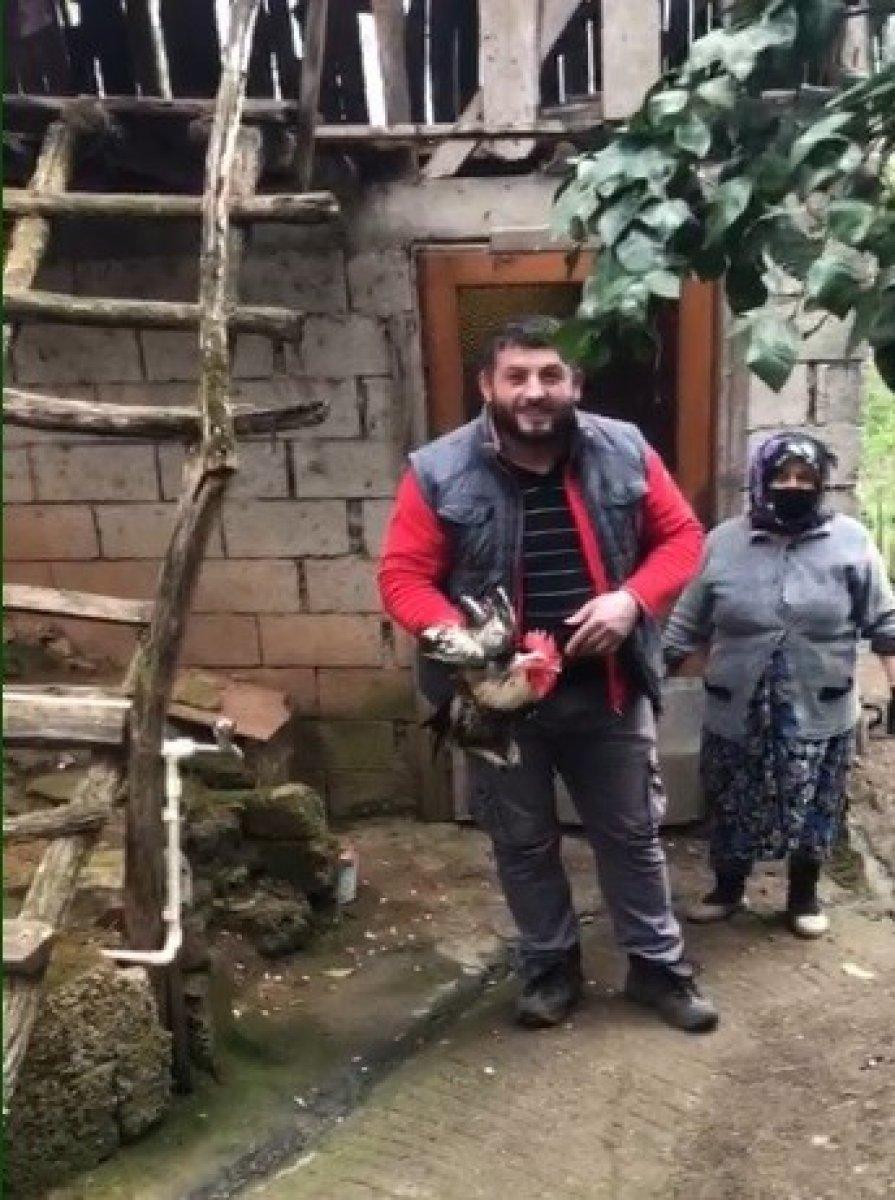 Trabzon'da 'anne' diye bağıran horoz kesilmekten son anda kurtuldu
