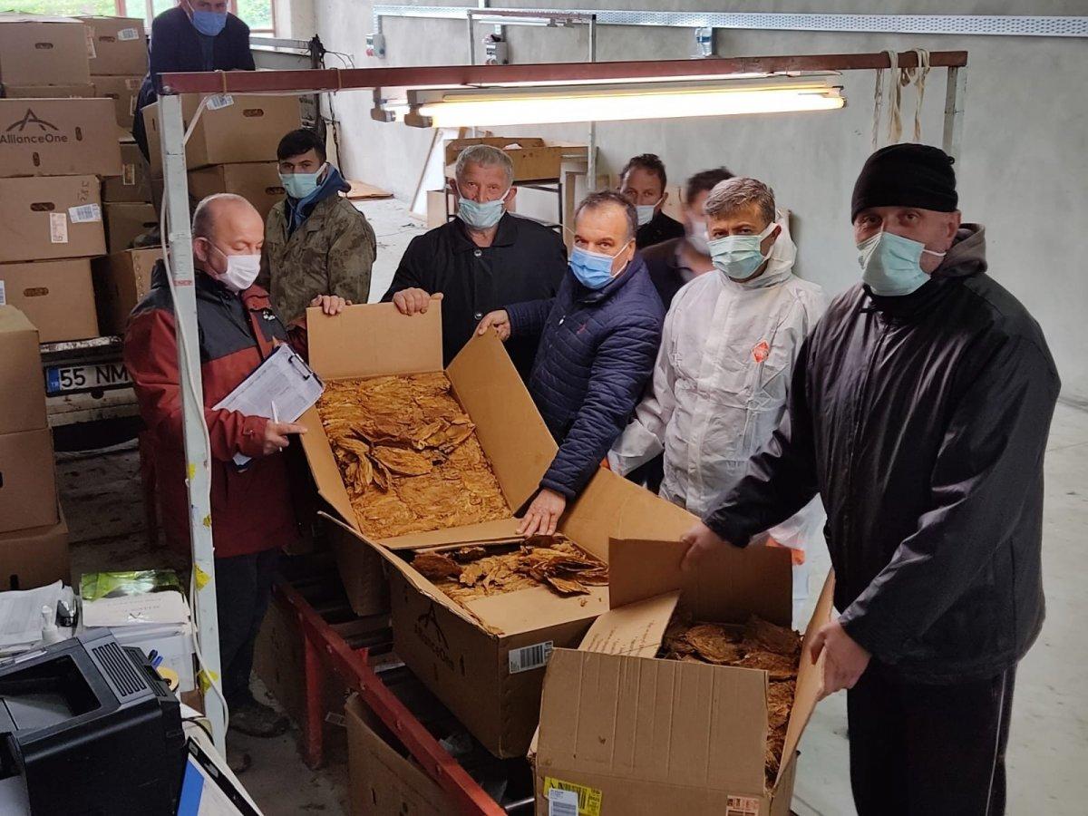 Tütün alımı başladı