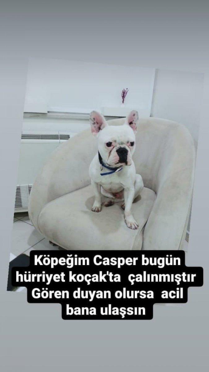 Kayseri'de sevdikleri köpeği çalıp, kaçtılar