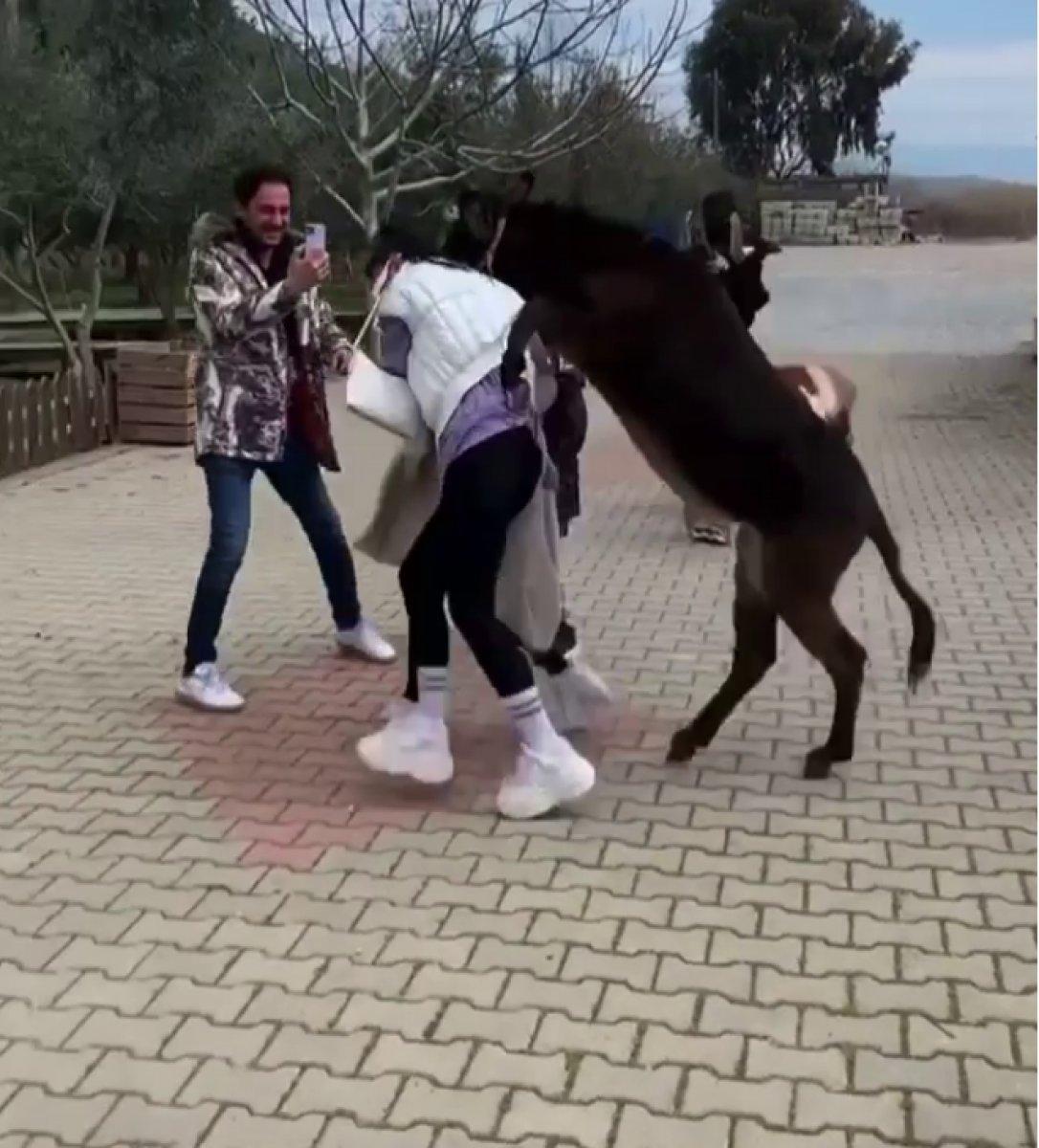 Zeynep Öztürk’ün eşekle imtihanı