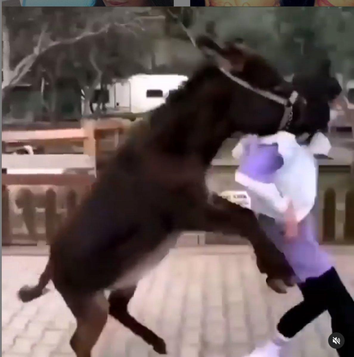 Zeynep Öztürk’ün eşekle imtihanı