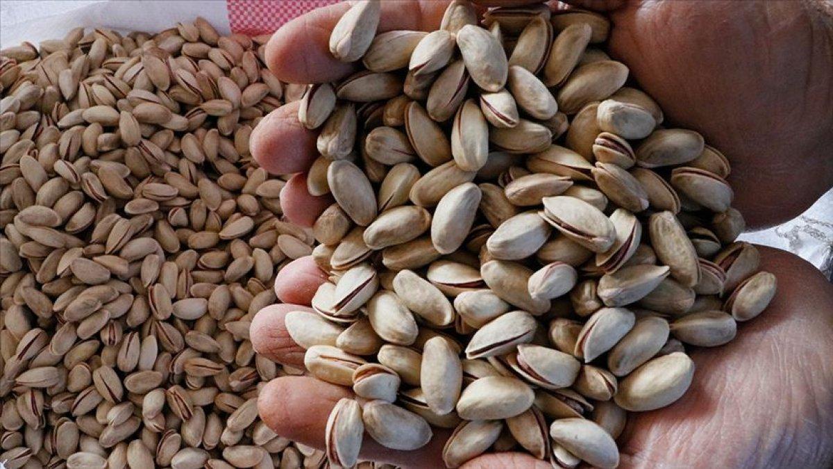 Antep fıstığı ihracat arttı