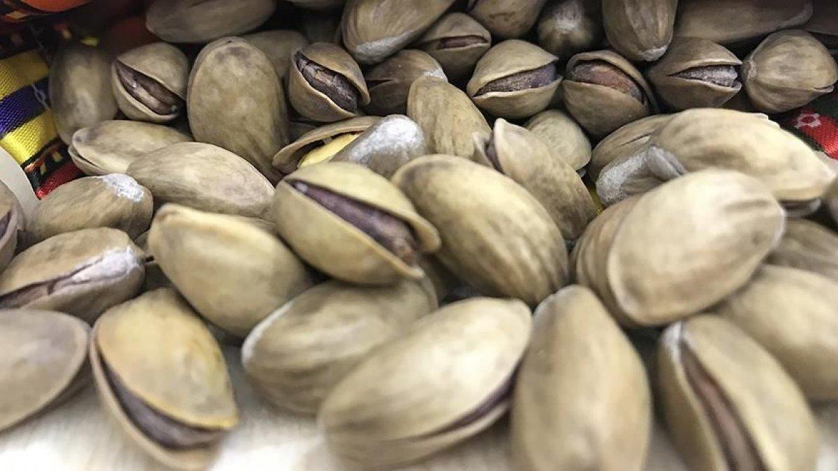 Antep fıstığı ihracat arttı