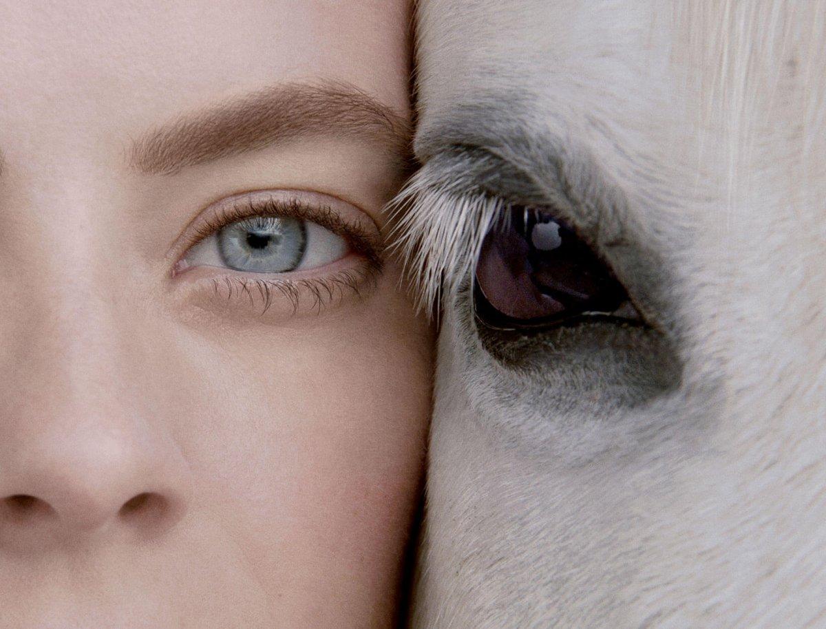 Cruelty Free ne demek, anlamı nedir? Cruelty-Free Türkçe anlamı