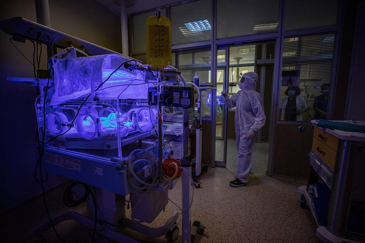 Hasta bebekler, sağlıkçıların şefkatli ellerinde ilgi görüyor