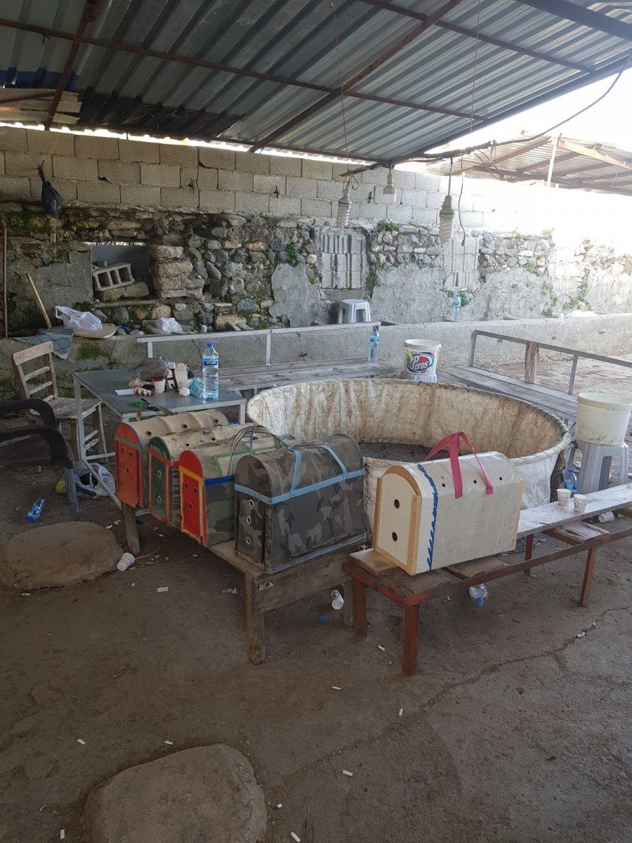 Hatay'da horoz dövüştüren 6 kişi suçüstü yakalandı