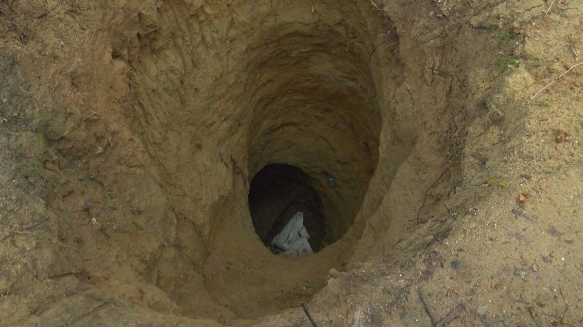 Define avcıları, Belgrad Ormanı'nda dev çukur kazdı