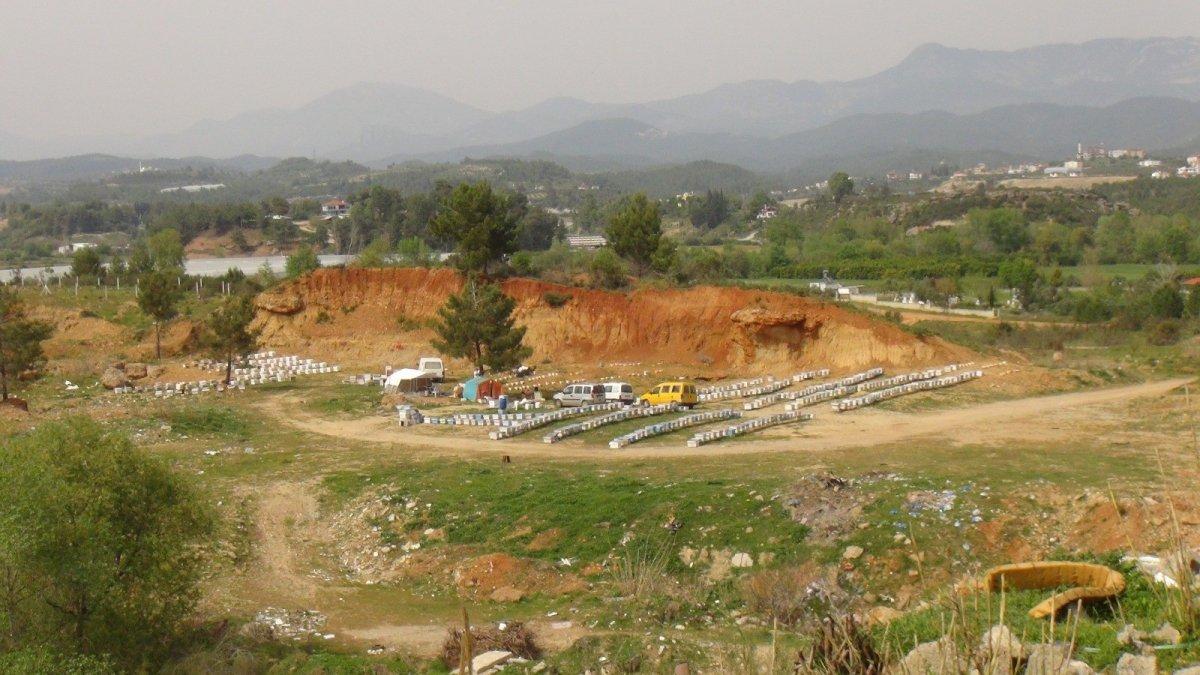 Antalya'da arı saldırısına uğrayan çoban: İnsanlar dışarı çıkamaz oldu