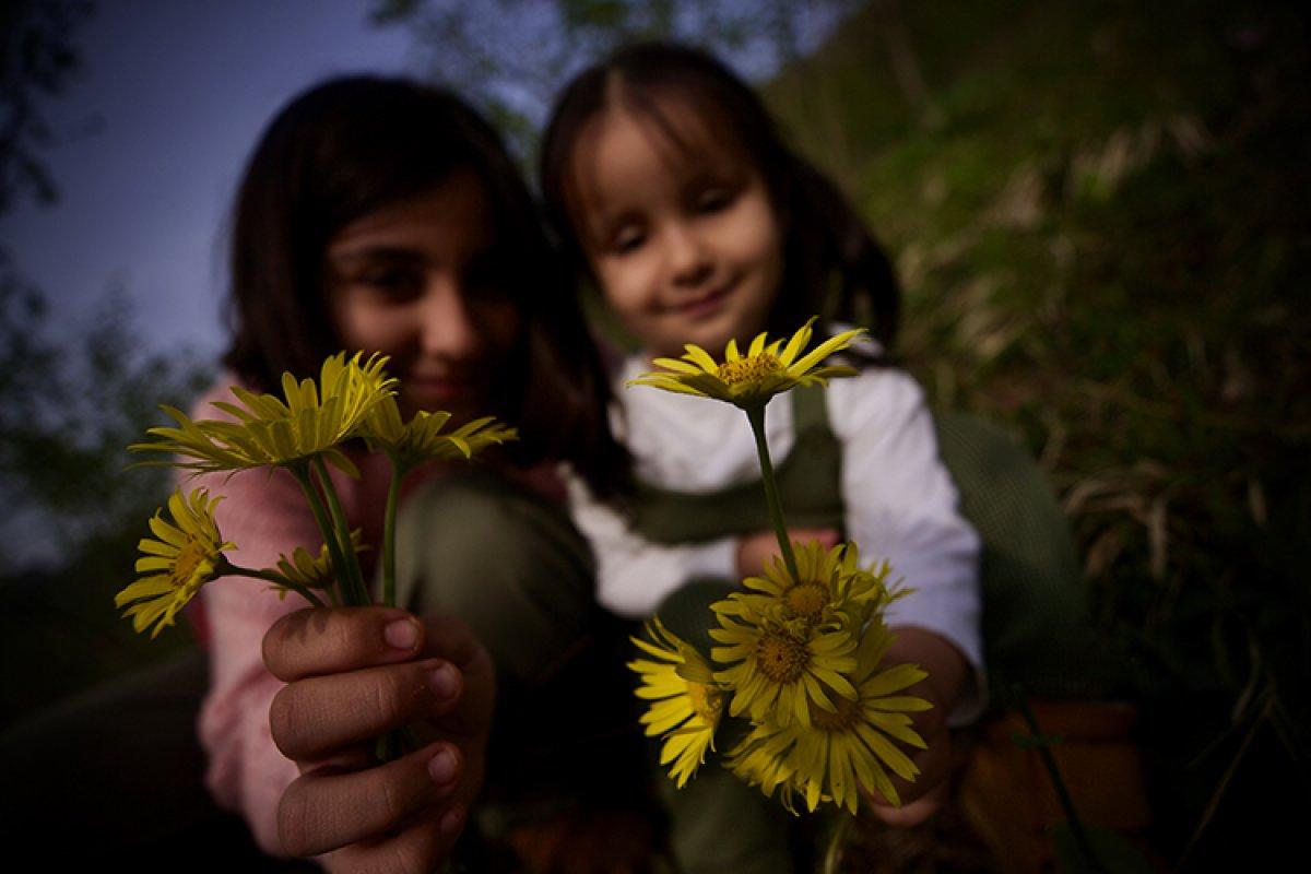 Batı Karadeniz yaylaları çiçeklerle renklendi