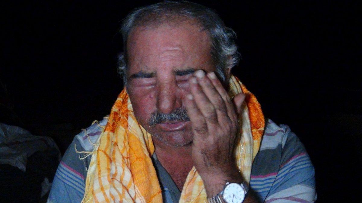 Antalya'da arı saldırısına uğrayan çoban: İnsanlar dışarı çıkamaz oldu