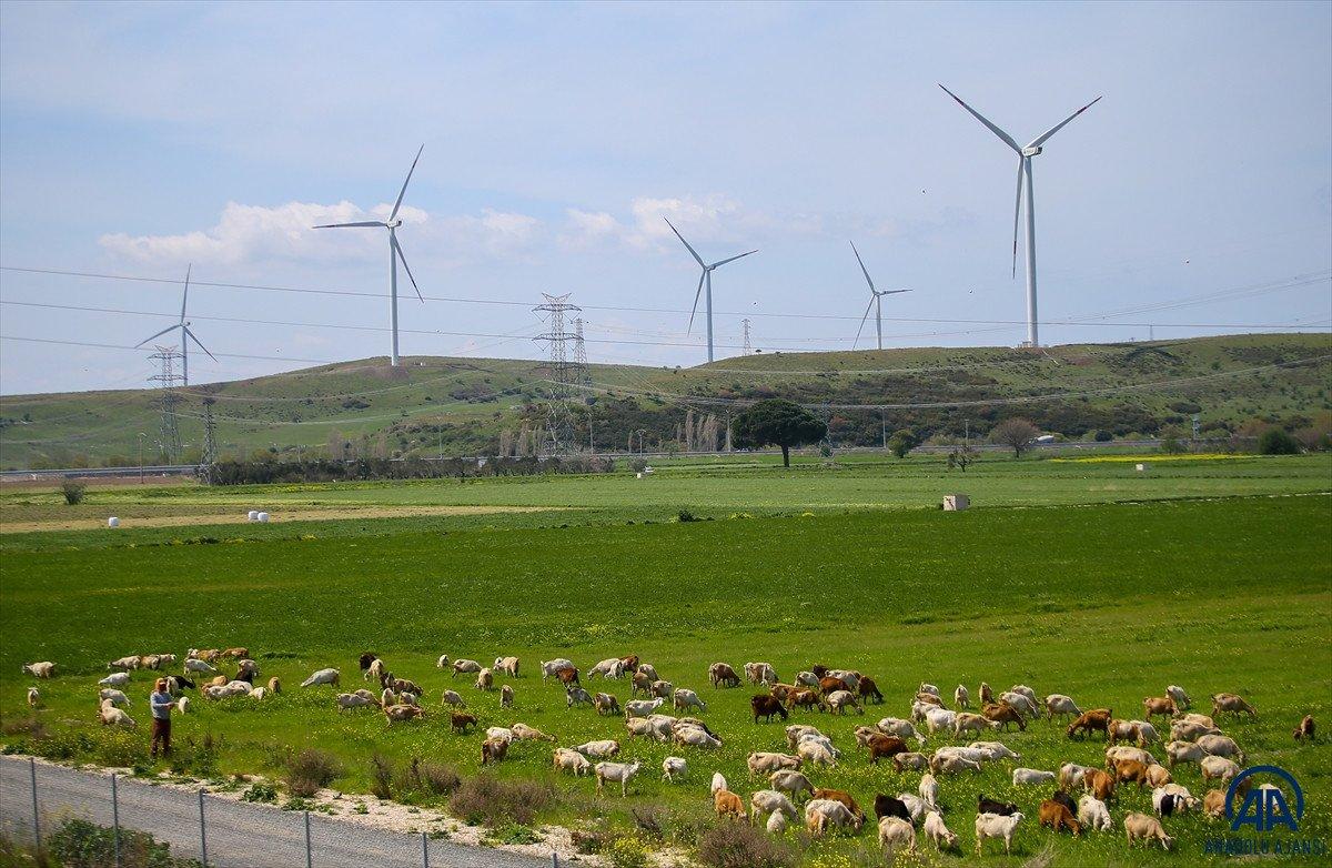 Türk bilim insanından rüzgar enerjisinde verimliliği artıran yeni yöntem