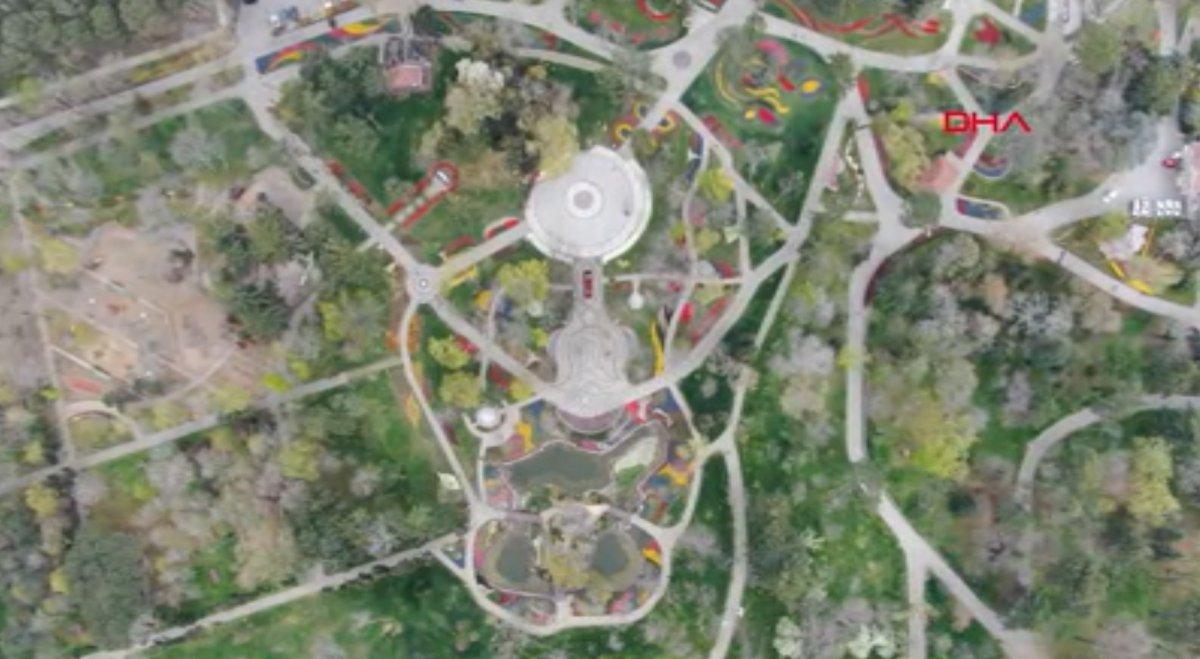 İstanbul’da laleler açtı