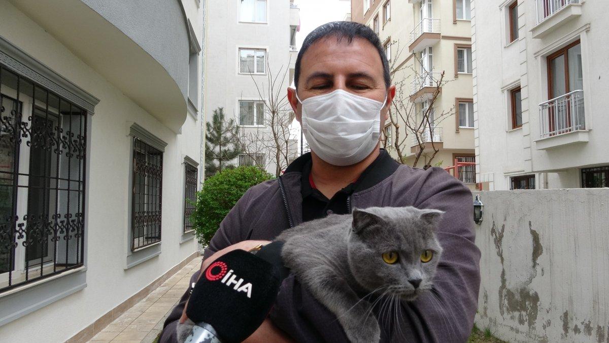 Van'da dördüncü kattan aşağı düşen kediye hiçbir şey olmadı
