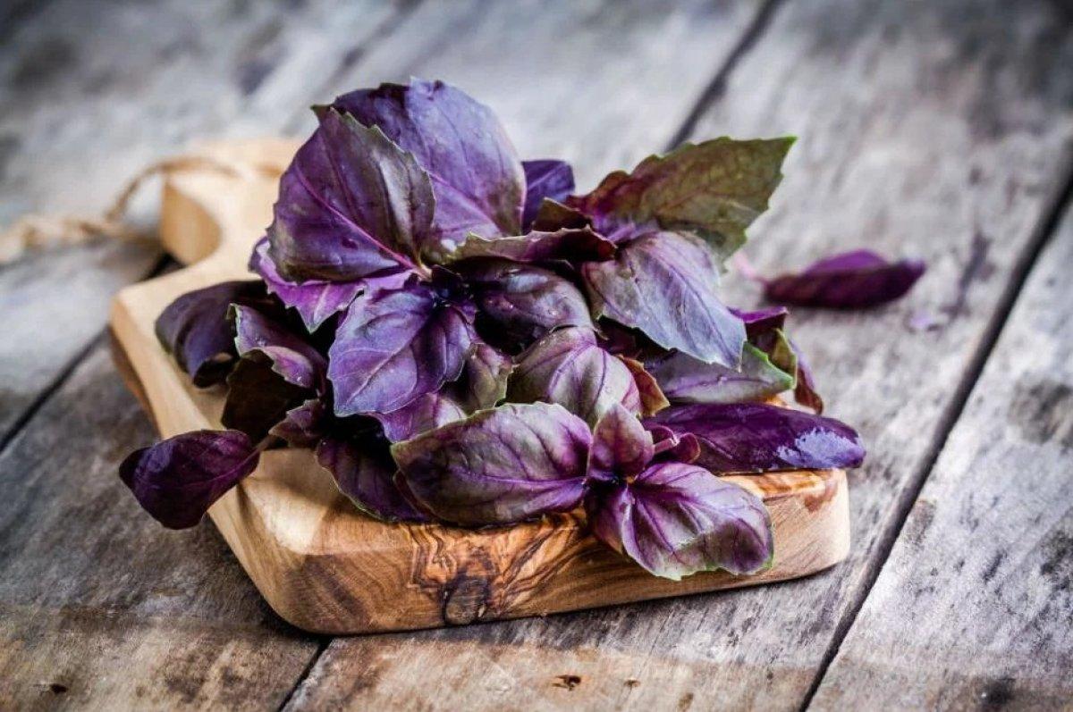 İftarın serinleten lezzeti: Reyhan şerbeti tarifi