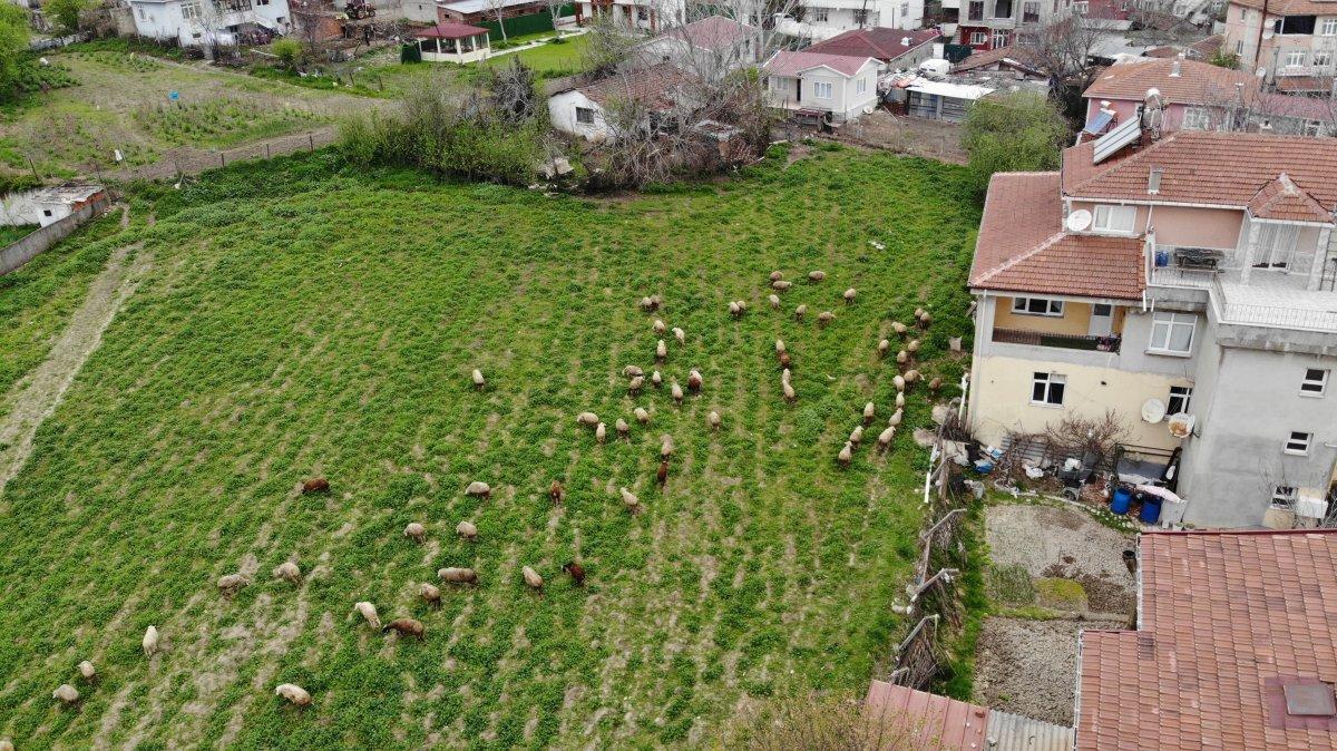 İstanbul’un 600 yıllık köyü