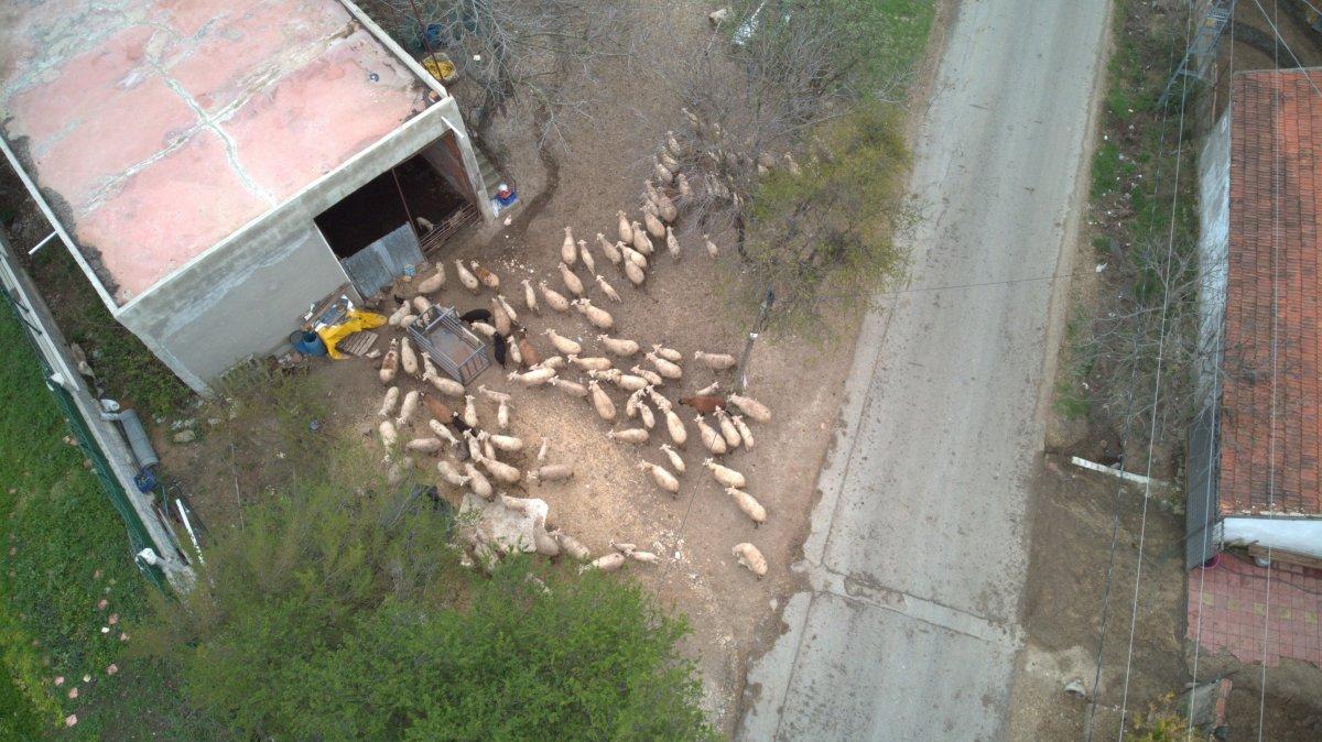 İstanbul’un 600 yıllık köyü