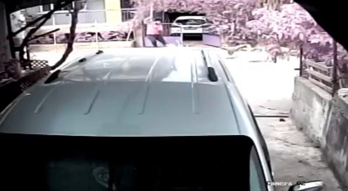 Antalya'da taşladığı kazlar tarafından kovalandı