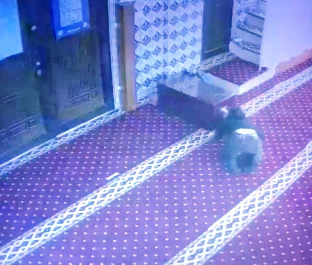 Diyarbakır'da camiye giren hırsız kamerada