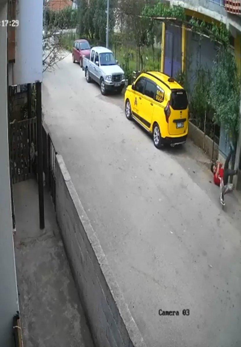 Antalya'da taşladığı kazlar tarafından kovalandı