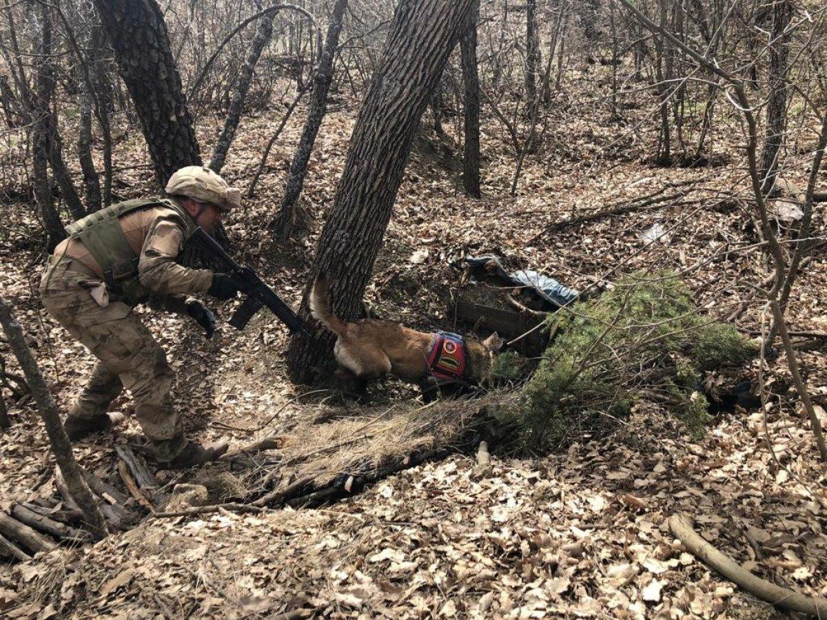 Terör örgütlerine yönelik ilkbahar-yaz operasyonları başladı