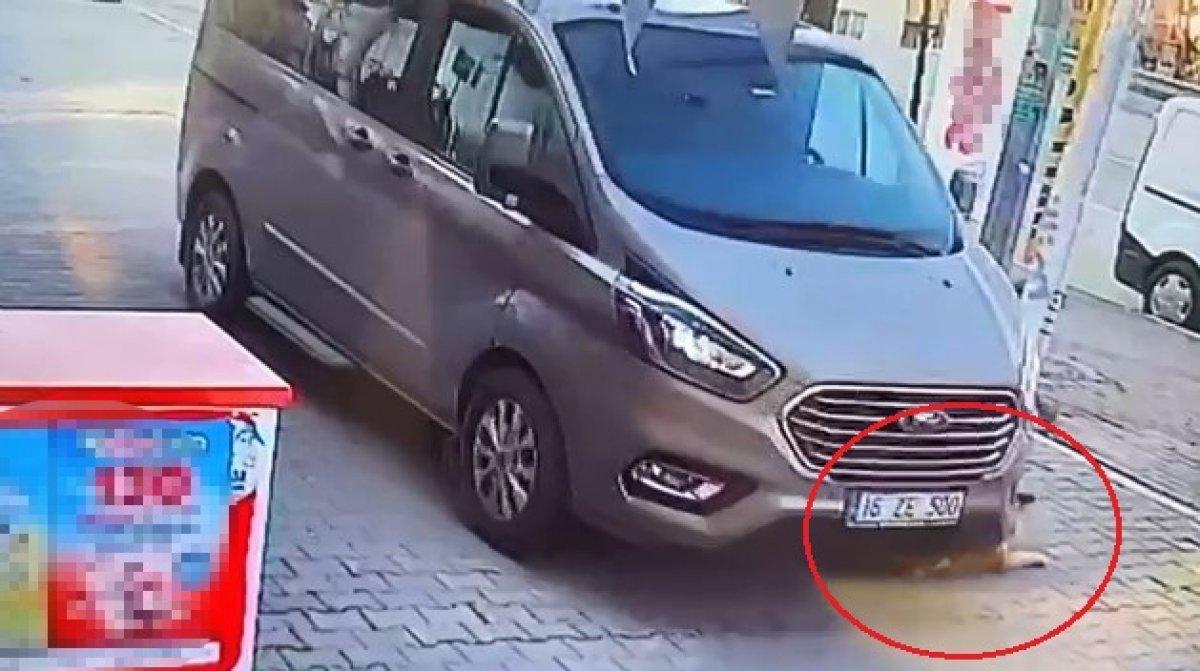 Bursa'da köpeği ezip, kaçan sürücü