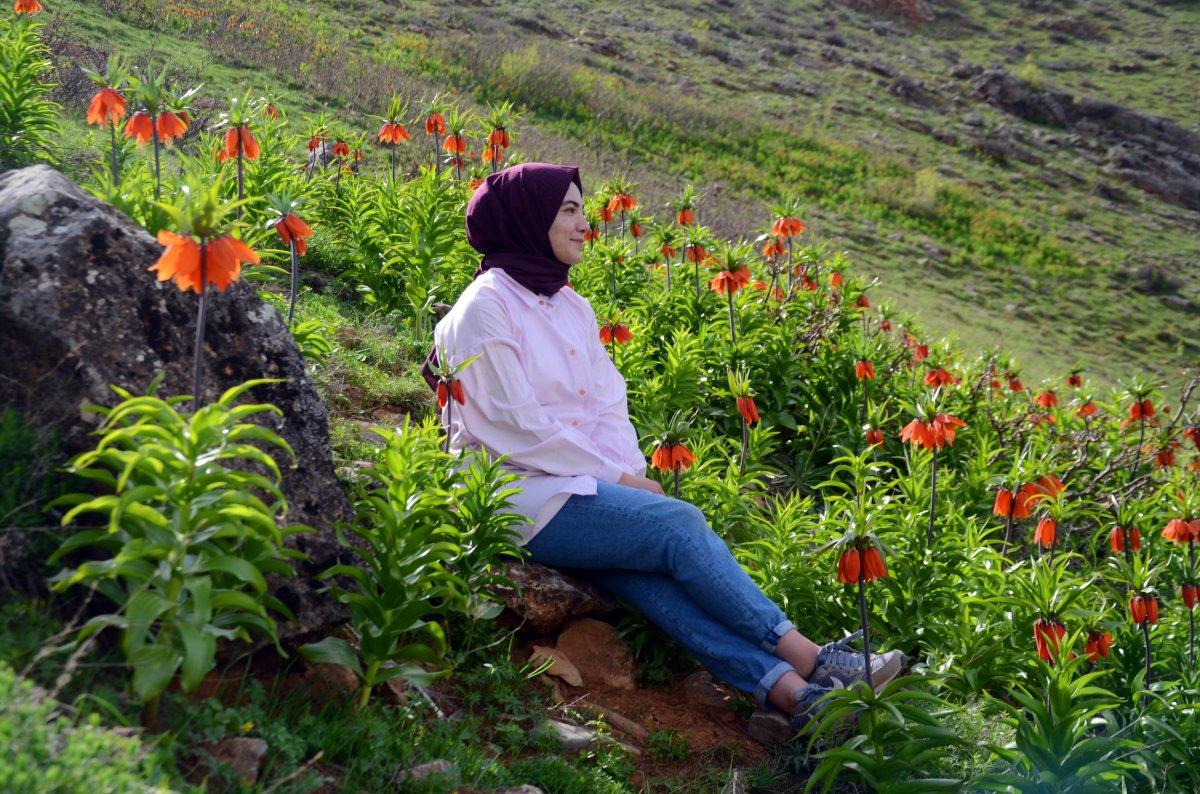 Muş’ta ters laleleri koparanlara 80 bin 465 TL ceza