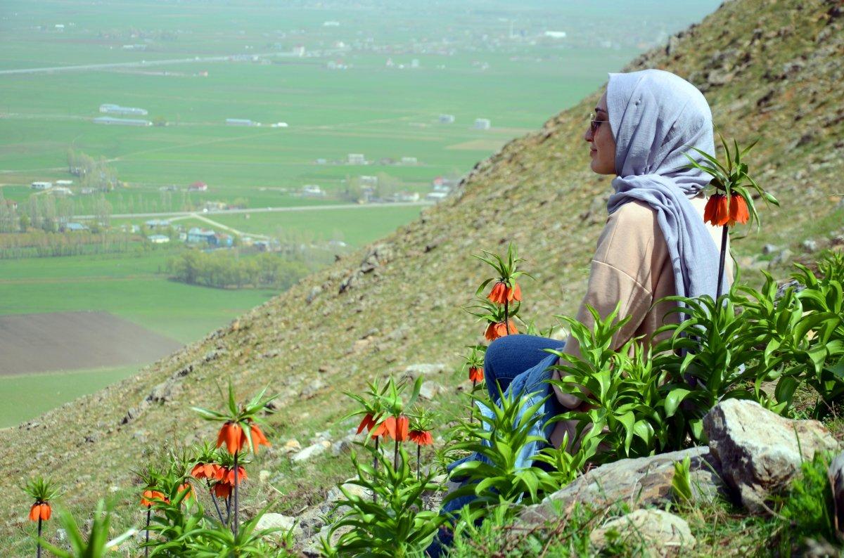 Muş’ta ters laleleri koparanlara 80 bin 465 TL ceza