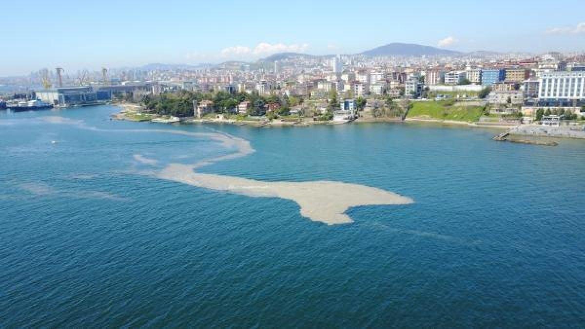 İstanbul Tuzla'da sahil deniz salyasıyla kaplandı