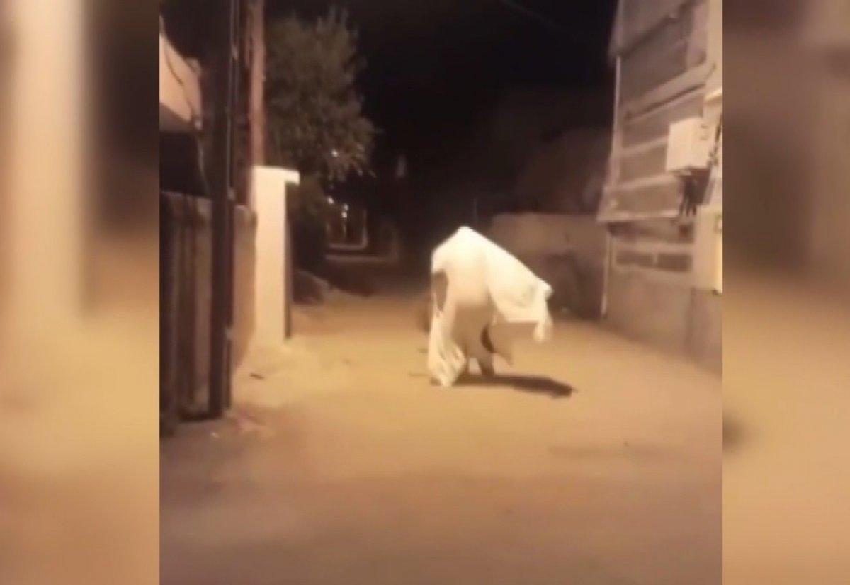 Kahramanmaraş’ta 'hayalet' tartışmaları