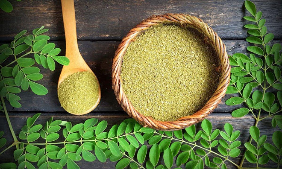 Mucizevi çay: Moringa çayı nedir, nasıl tüketilir? Moringa çayı faydaları..