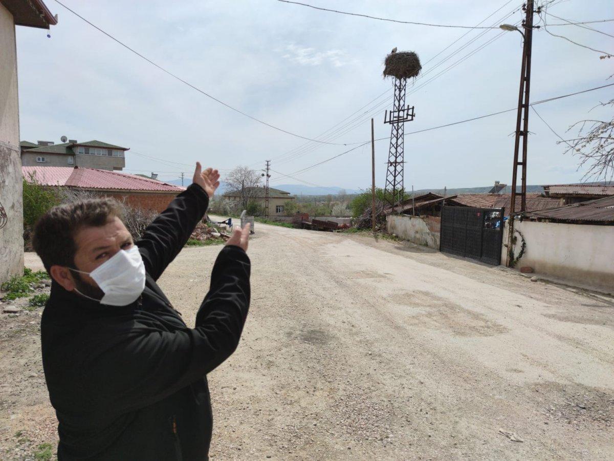 Amasya'da mahalleliye leylekler rehberlik ediyor