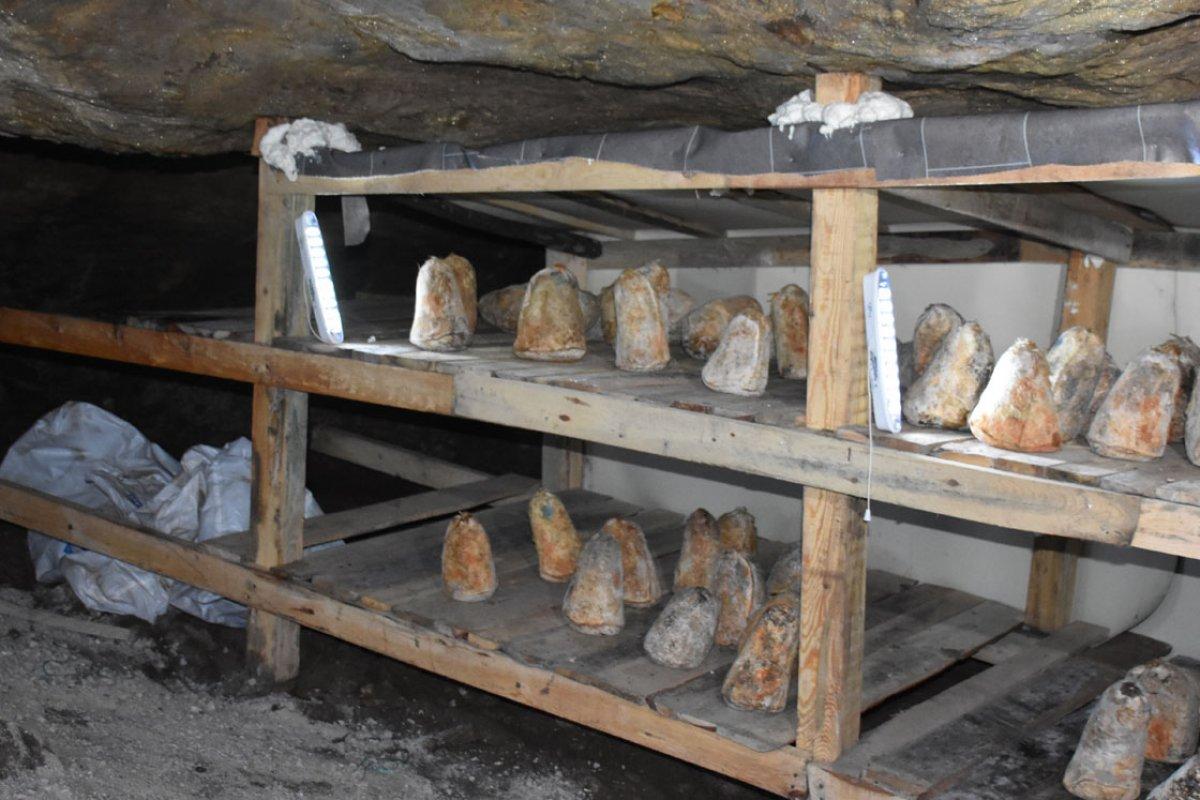 Bayat peyniri üretimi 7 kadın tarafından yapılıyor