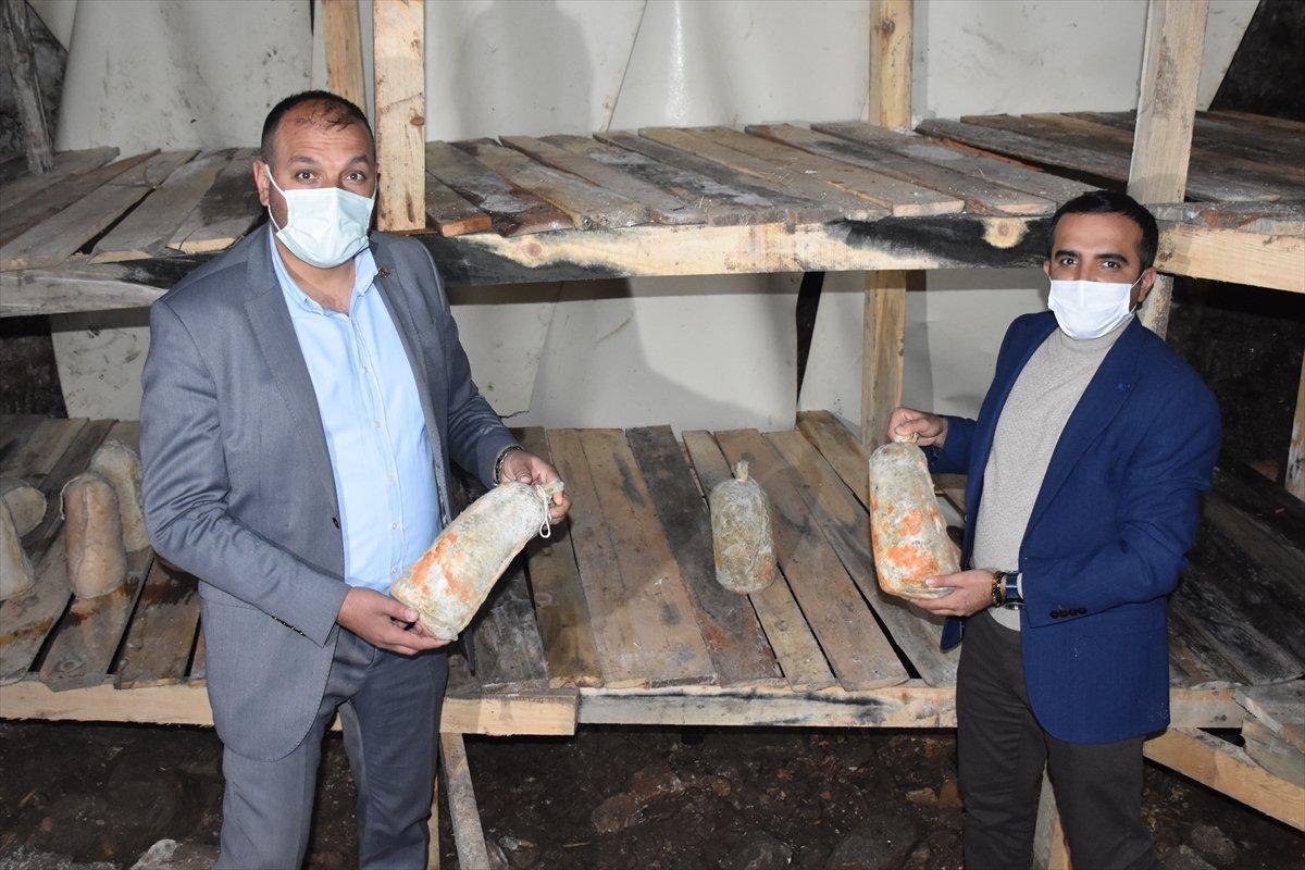 Bayat peyniri üretimi 7 kadın tarafından yapılıyor