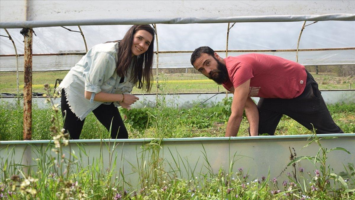 Kocaeli'de genç girişimci, tarıma kazandırdığı arazide 20 kişiyi iş sahibi yaptı